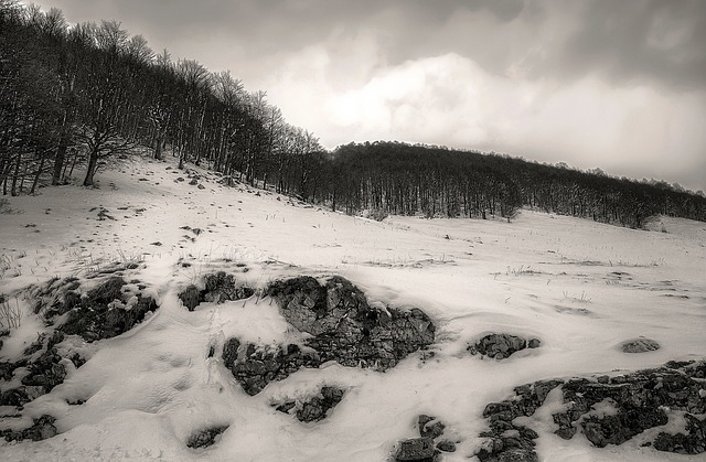 Abruzzo national park camping wildlife